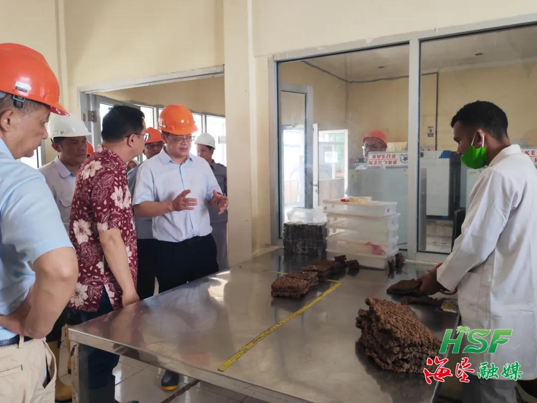 1715067140780076334.jpg 1715067140780076334.jpg