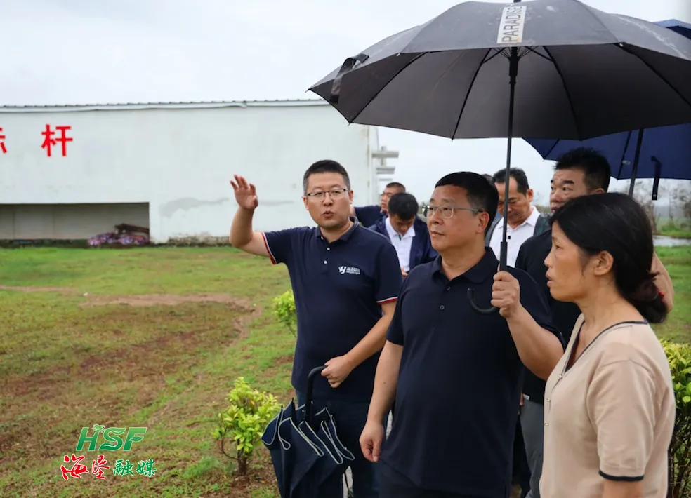 1726284623759069751.jpg 1726284623759069751.jpg