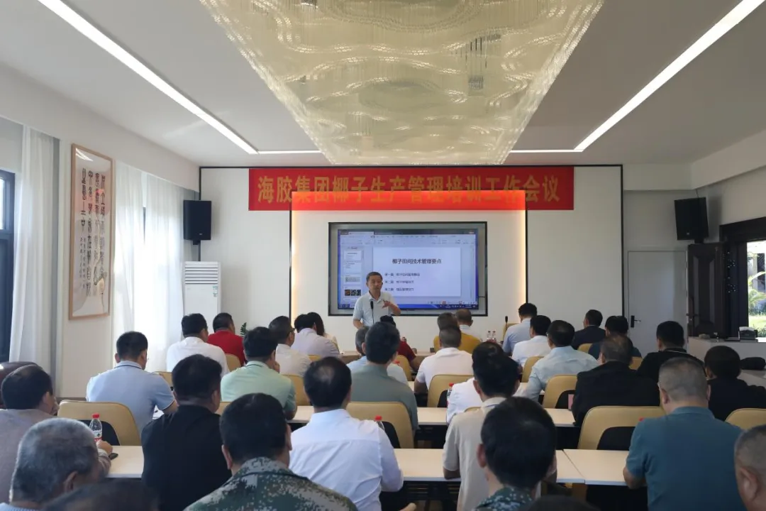 1731374576092042462.jpg 1731374576092042462.jpg