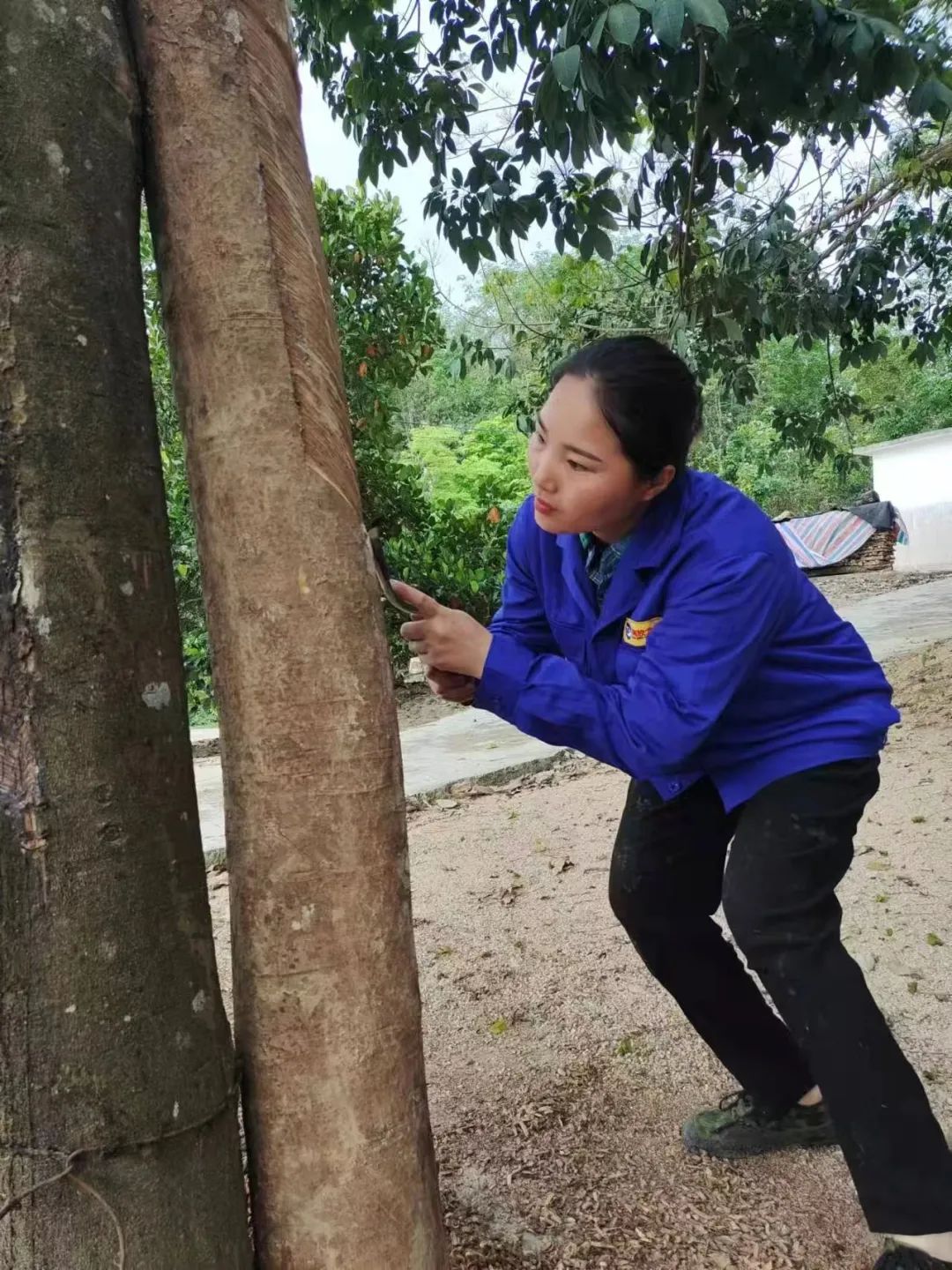 1747703871718005774.jpg 1747703871718005774.jpg