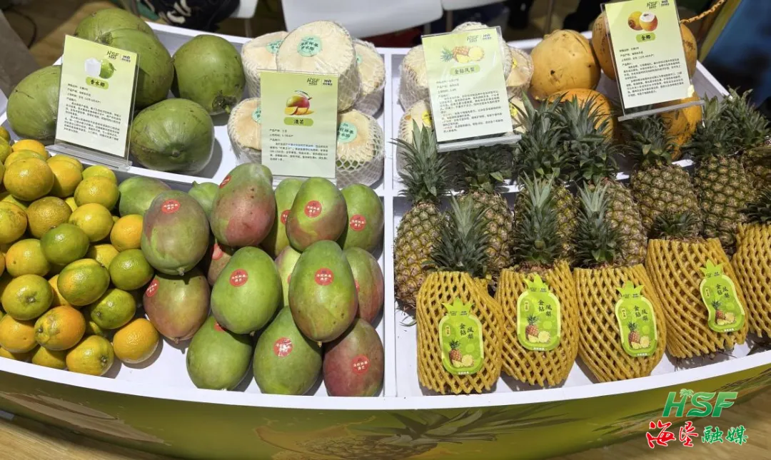 1765031448542021971.jpg 1765031448542021971.jpg