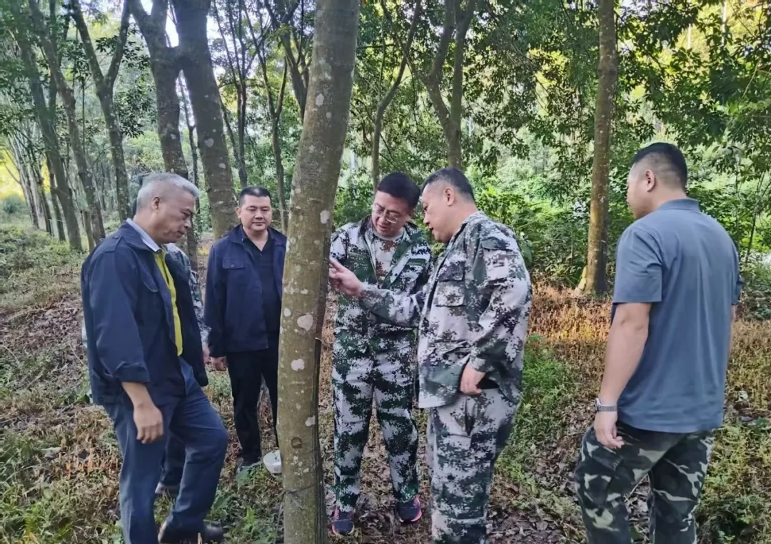 楊宇赴儋州片區(qū)下屬企業(yè)調(diào)研