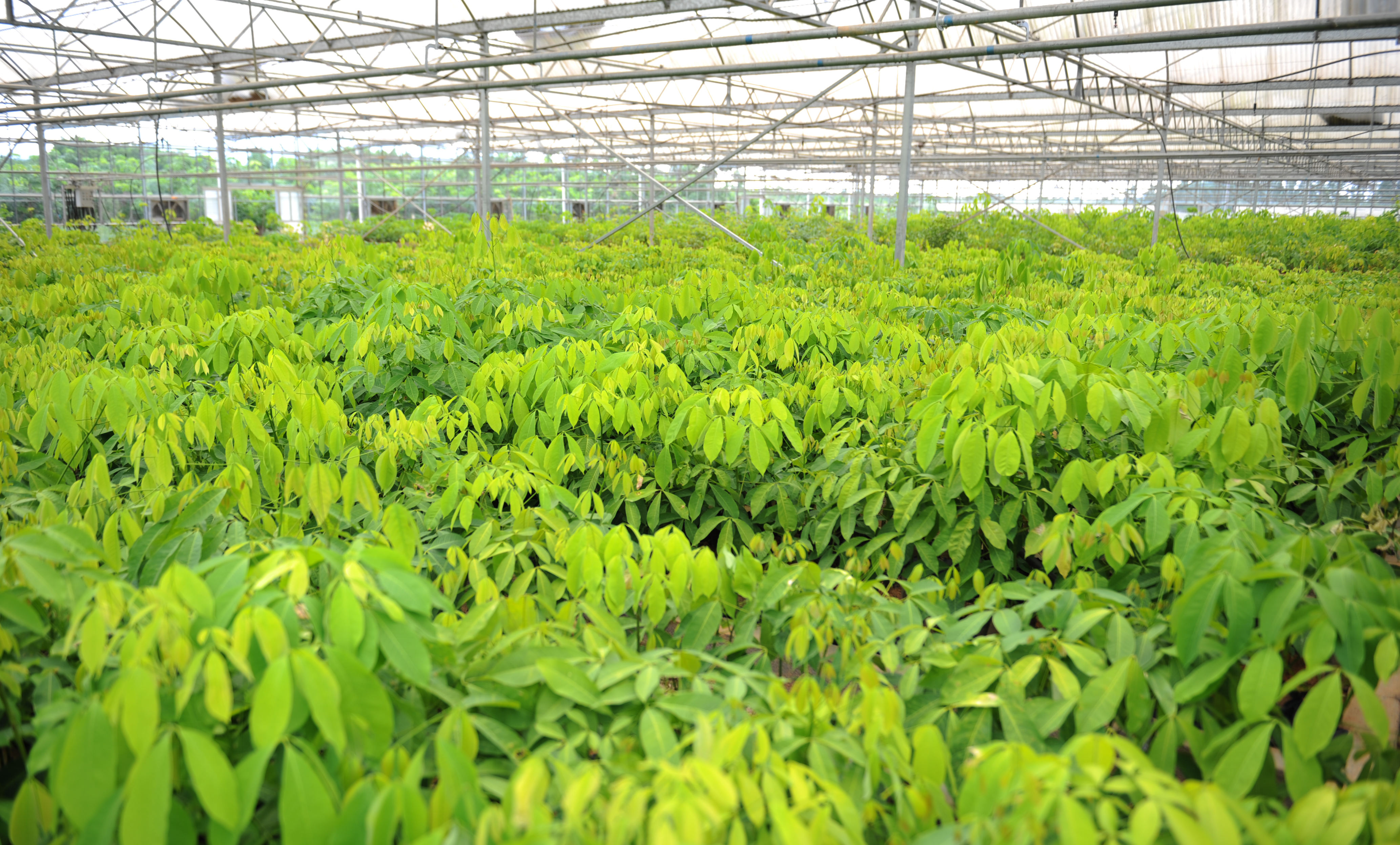 1692348886044021381.jpg 1692348886044021381.jpg