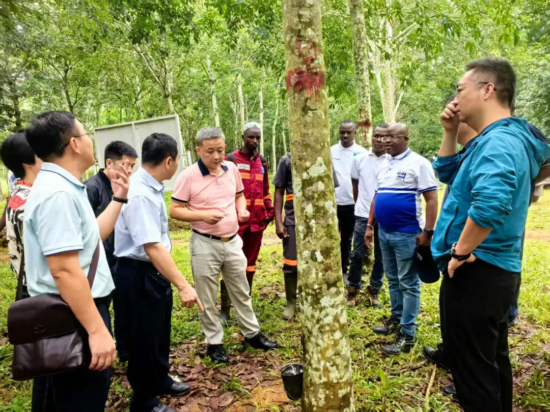 王宏向率隊(duì)赴科特迪瓦調(diào)研